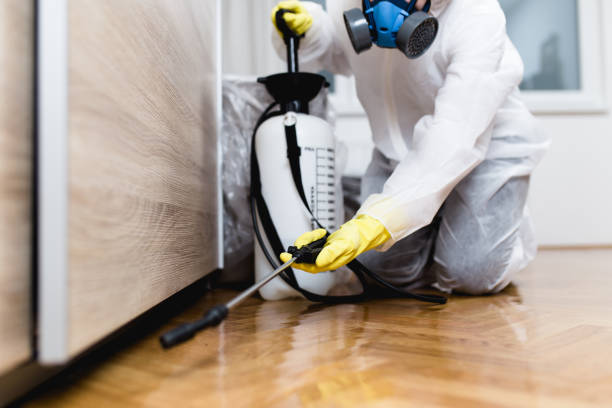 Reliable Sugarmill Woods, FL Pest Control Solutions