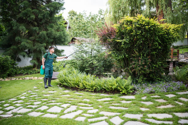 Best Wasp Removal Services  in Sugarmill Woods, FL
