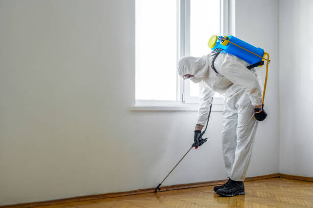Best Mosquito Control Services  in Sugarmill Woods, FL