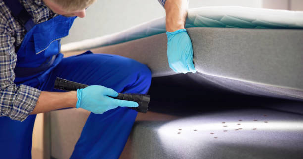 Best Best Pest Control Companies  in Sugarmill Woods, FL