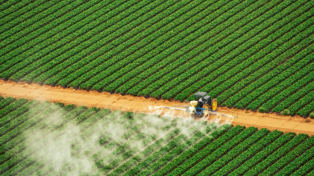 Best Commercial Pest Control Services  in Sugarmill Woods, FL
