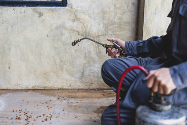 Best Pest Removal Services  in Sugarmill Woods, FL